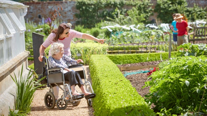 A visitor in a wheelchair is accompanied along a level gravel path in Felbrigg’s Walled Garden, with accessible views across raised planting beds, hedges and vegetable crops.
